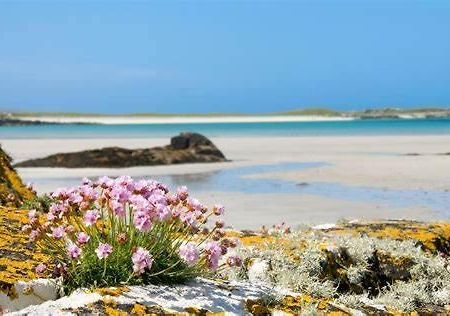 Wild Atlantic Stay Guest House Self-Catering Inverin 外观 照片